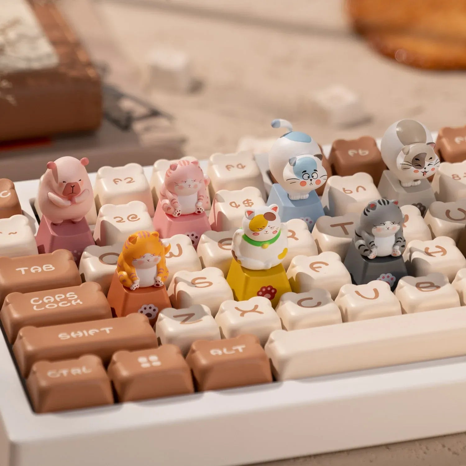 Akko keycaps chat