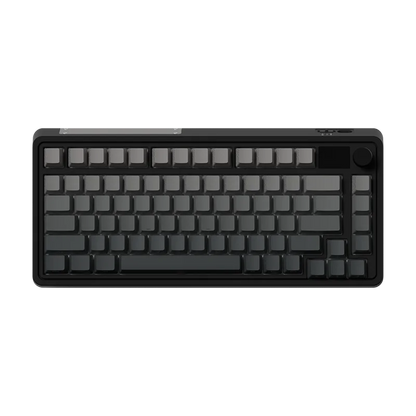 FL-Esports - Vue 12