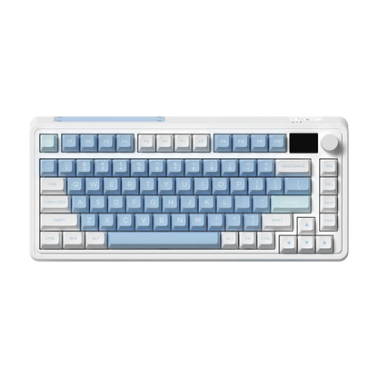 FL-Esports - Vue 10