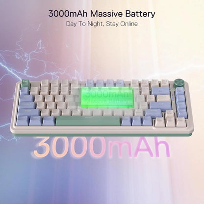 Redragon 75% - Vue de dos