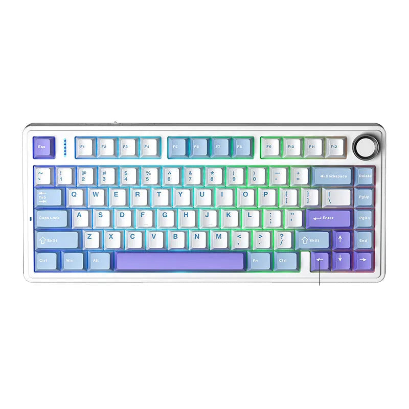 AULA F75 ANSI Violet & Blanc