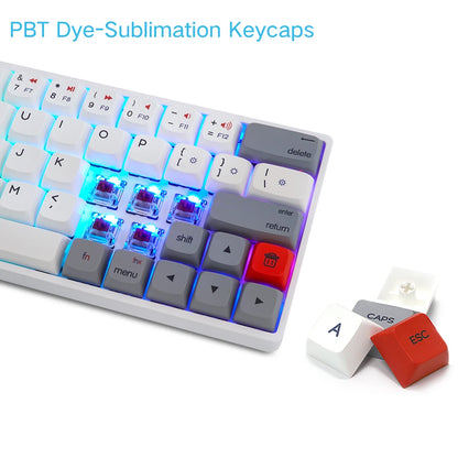SKYLOONG SK64 - Vue de dos