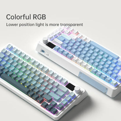FL-Esports - Coloris disponibles
