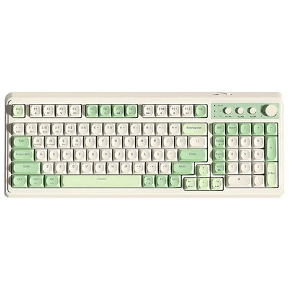 AULA S99 Verde
