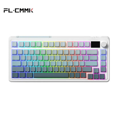 FL-Esports - Vue principale