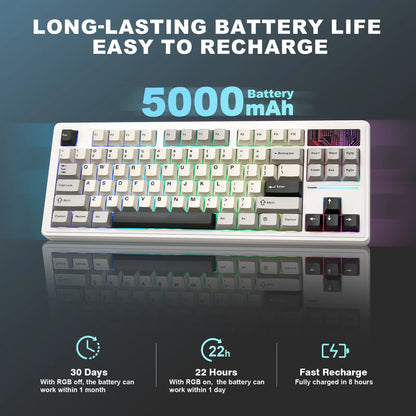 Clavier custom YZ87 TKL connexion sans fil