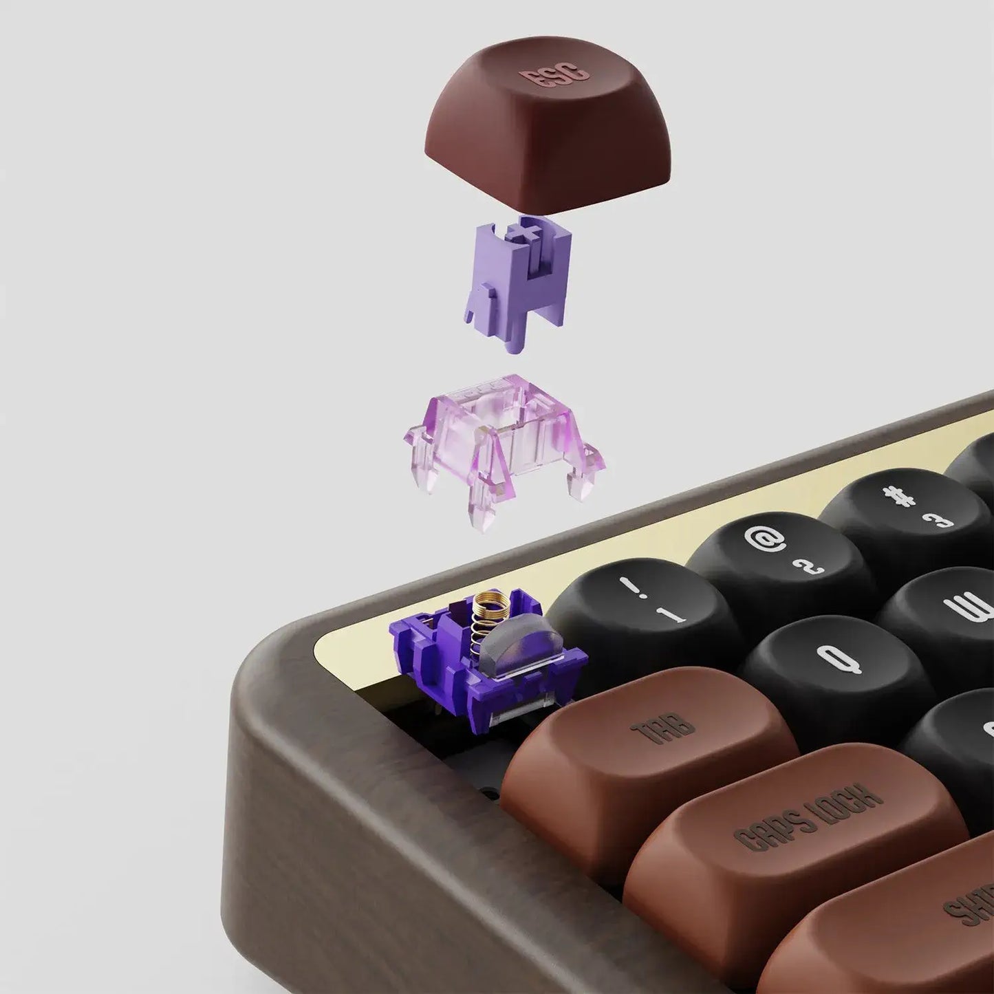 Automne Clavier Custom